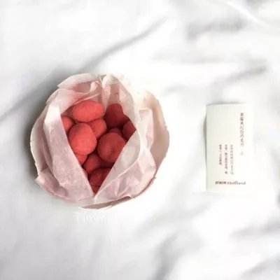 小花仙精灵之翼游戏下载